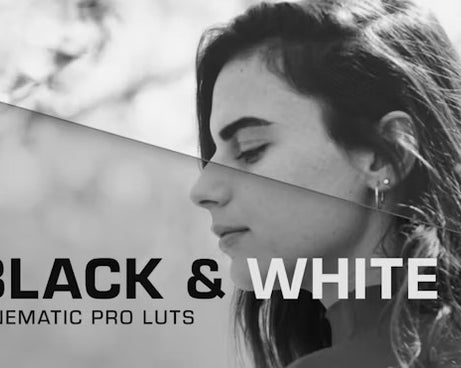 Black White Cinema LUTs